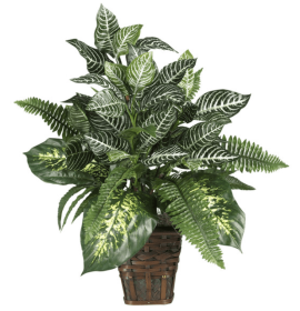 Mixed Greens Zebra w/Wicker Silk Plant