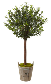 Olive Topiary Tree with Farmhouse Planter